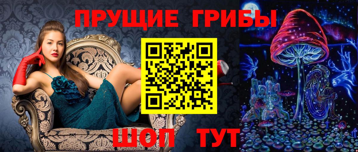 Псилоцибиновые грибы Psilocybine cubensis  Вход с VPN  Новошахтинск 