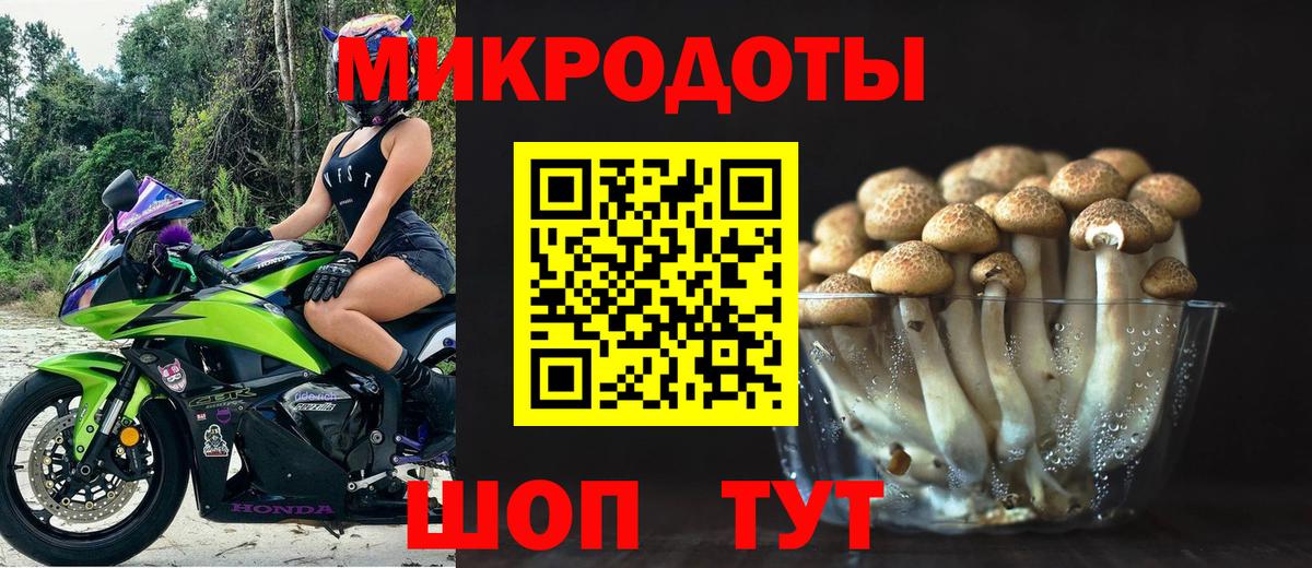 Галлюциногенные грибы мицелий Новошахтинск